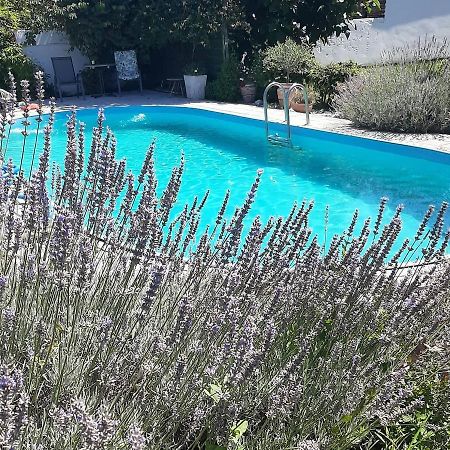 Apartman Marija 2 Srbobran Dış mekan fotoğraf